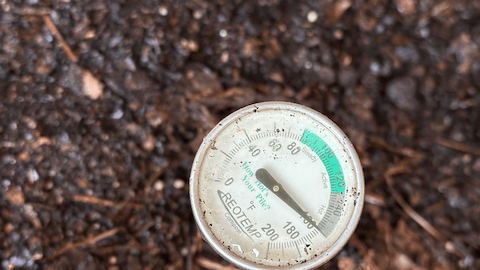 Results two days later - microbes in action, building the compost pile heat to 160F