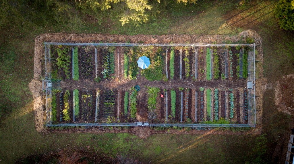 Drone shot of the farm from 2021