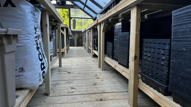 Soil and growing trays organized in the greenhouse