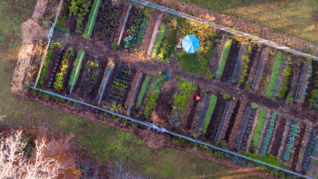 Aerial view of the farm before the high tunnel and greenhouse