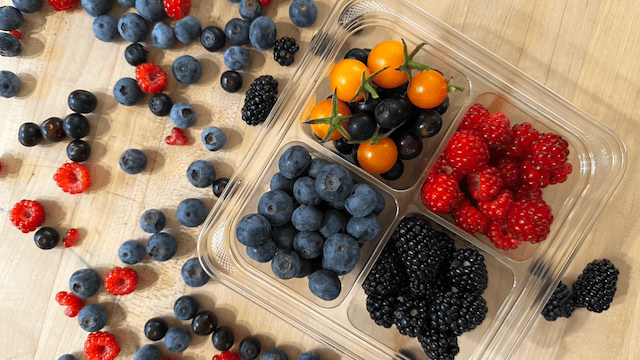 A typical sampler of berries I bring with me when visiting people