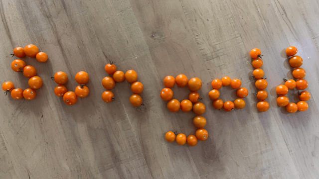 Iron Mountain Organics' Best Selling Product - Sun Gold Tomatoes - so sweet you would think they are candy!