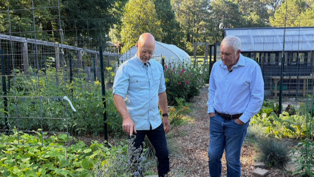 Tommy and Tim Knight among the flowers on the farm