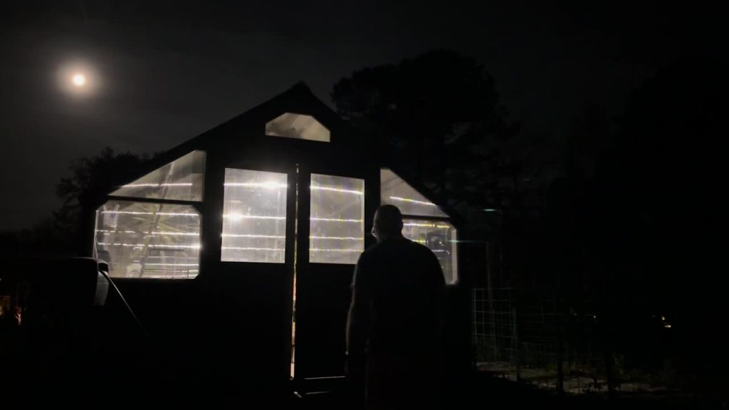 The greenhouse lit up in the early-morning dark